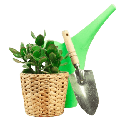 Garden Tools & Equipment